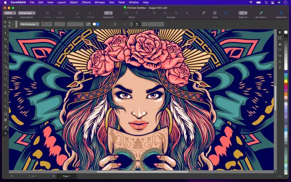 CorelDRAW Graphics Suite Türkçe dersler